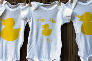 What The Duck Is It Baby Shower & Gender Reveal
